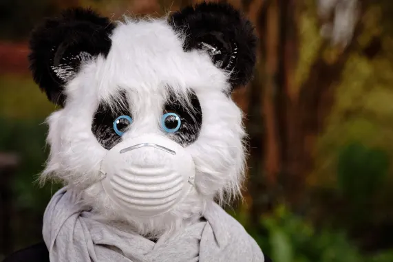 Kasino Eight Storm Sokongan